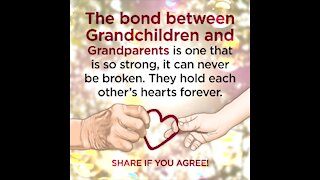The Bond Between Grandchildren [GMG Originals]