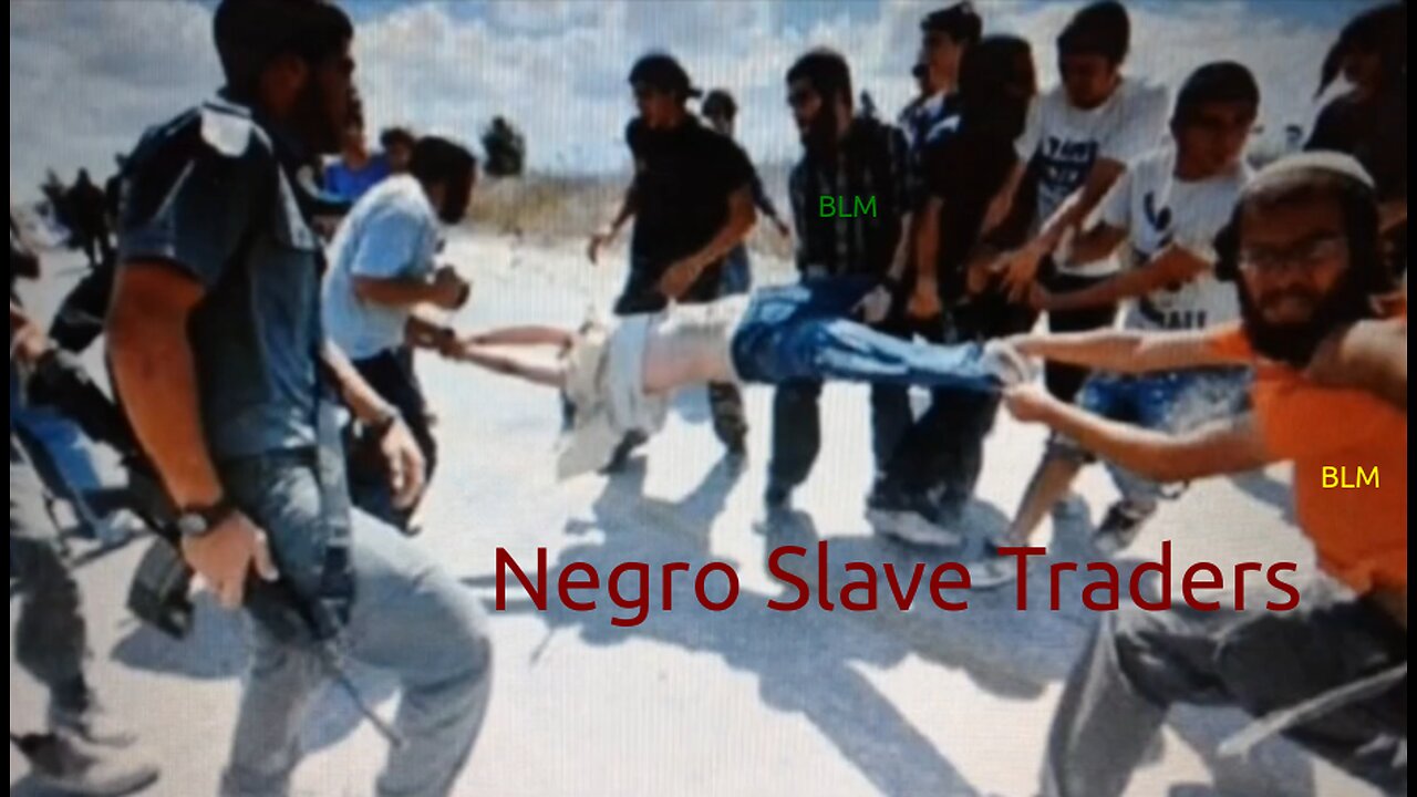 Crucial Negro Enslavement Education Film