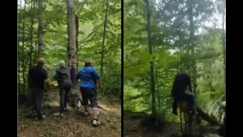 falling tree sends dude flying in the air