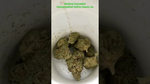 Tangie Chem 21,1% THC Medical Cannabis #shorts