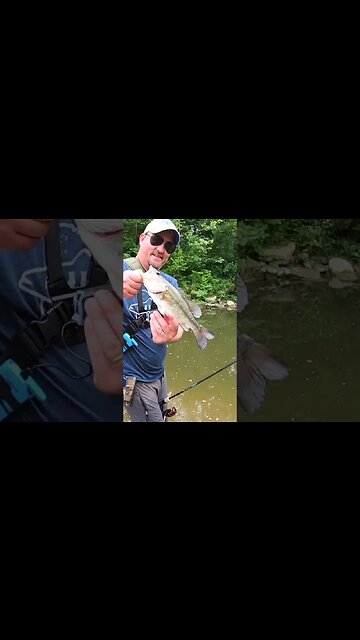 Cincinnati Creek Largemouth!