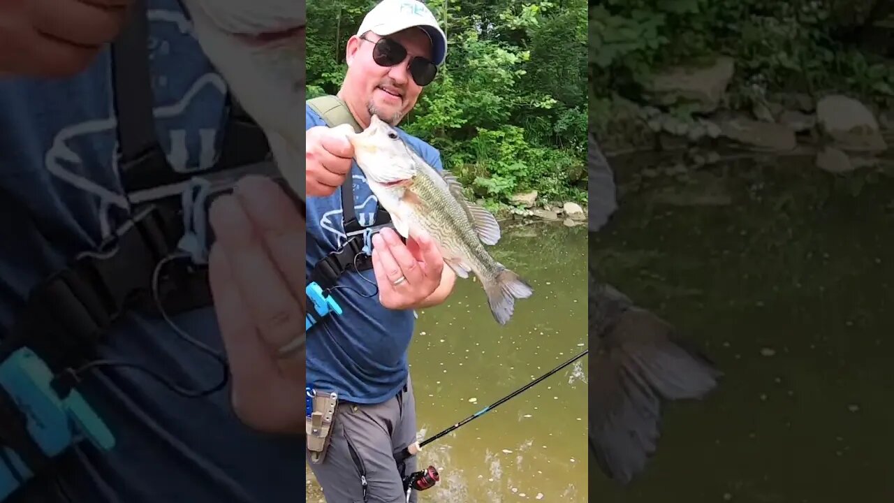 Cincinnati Creek Largemouth!