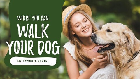 TOP 10 ESSENTIAL COMMANDS TO TRAIN YOUR DOG AT HOME