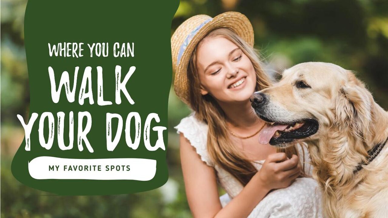 TOP 10 ESSENTIAL COMMANDS TO TRAIN YOUR DOG AT HOME