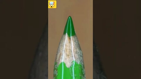 Best Oddly Satisfying Video for Stress Relief #Shorts #oddlysatisfying #relaxing #asmr