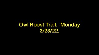 Owl Root Trail