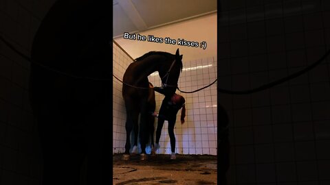 #shorts Смешные животные из Тик Ток 61 Funny animals from Tik Tok