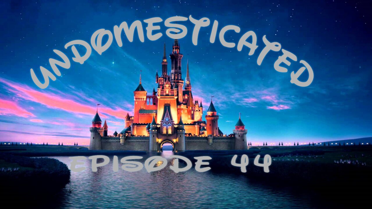 Episode 44: I'm Going To Disney World