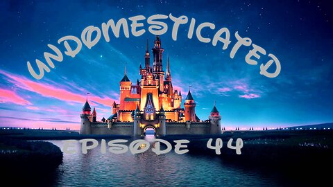 Episode 44: I'm Going To Disney World