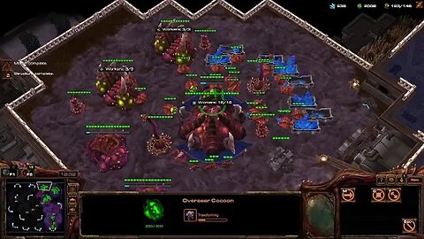 Session 4: StarCraft II (1v1 Matchmaking as Random)