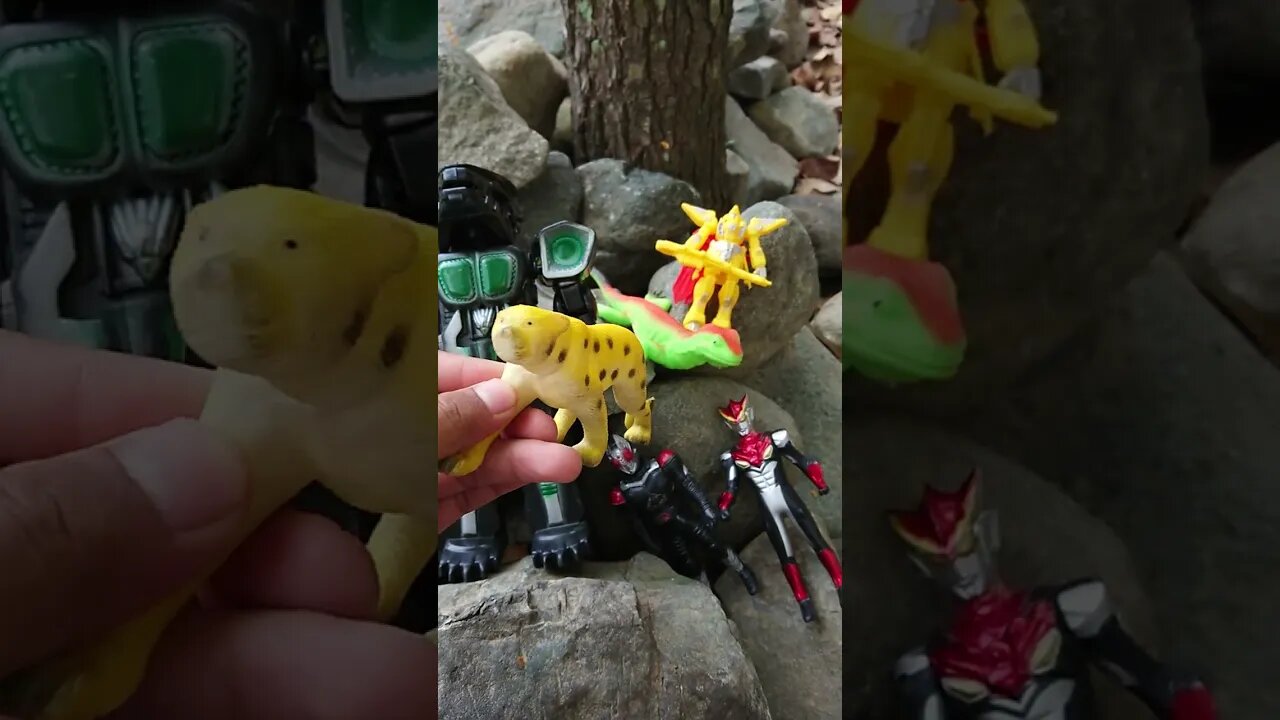 Muka macan tutul ini mirip beruang, ya ga sih? #shorts #wadidaw #hewanunik #foryoupage