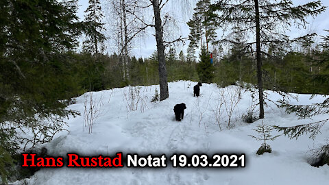 Hans Rustad notat 19.03.2021 Filosofiske smuler fra skogen