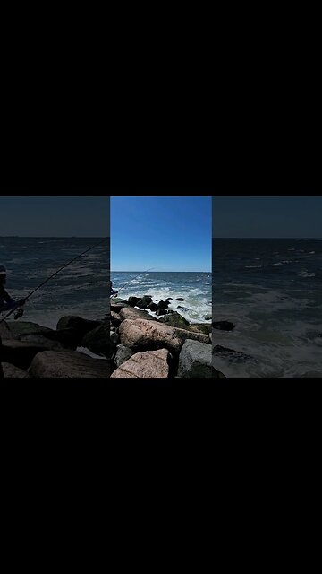 Reeling up 2X Bluefish is HARD!🐟🐟