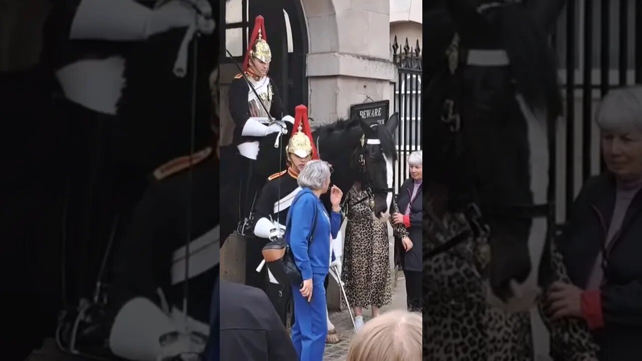 Grandma make way #horseguardsparade