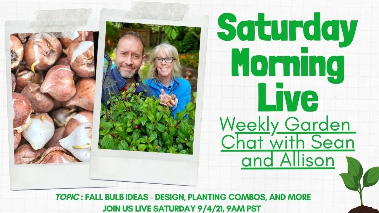 ☕ Fall Bulb Ideas and Planning | Saturday Morning LIVE Garden Chat ☕