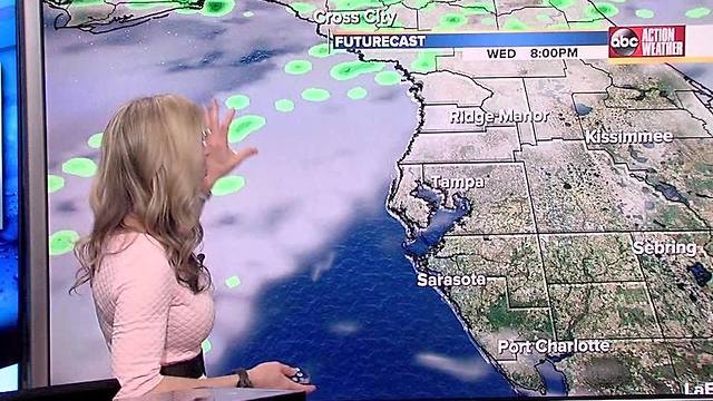 ABC ACTION WX FORECAST