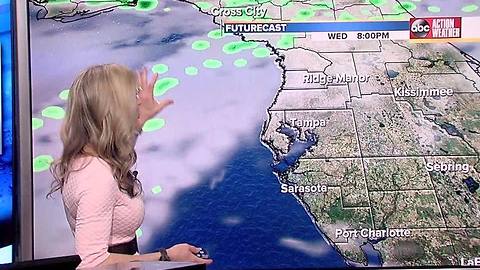 ABC ACTION WX FORECAST