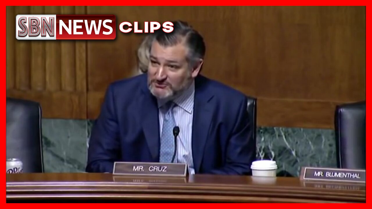 Ted Cruz Slams 'Toxic Conservatorships' in Senate Hearing Inspired by Britney Spears Battle - 4132