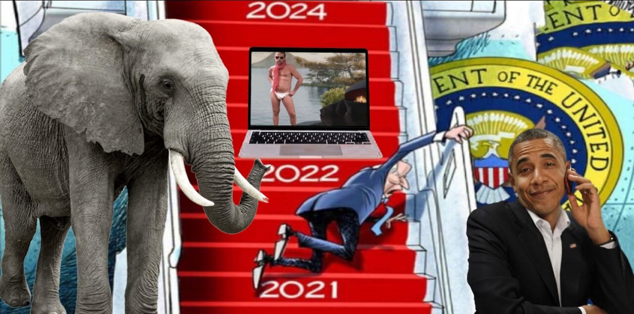 THE ELEPHANT IN THE ROOM