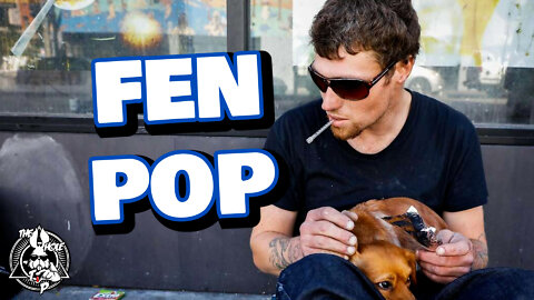 FEN POP - the Whole Tip Daily