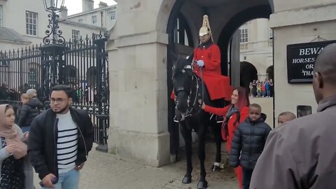 She just won't t leave the Horses alone #horseguardsparade
