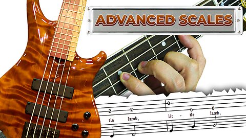 BASS GUITAR SCALES 5 Intro to Bass Lines and Soloing Lesson | Tutorial