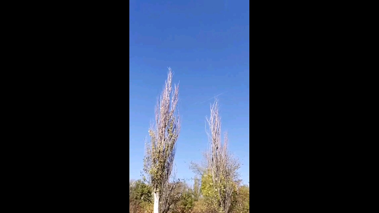 Around noon, Russian and Ukrainian Telegram channels published the following videos: you can see the