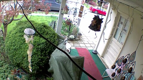 2_WEST_FLOODLIGHT_VIDEO_CAM_2023-04-07T14_58_22-0400.mp4