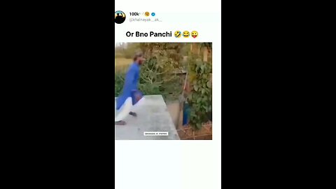 funny videos