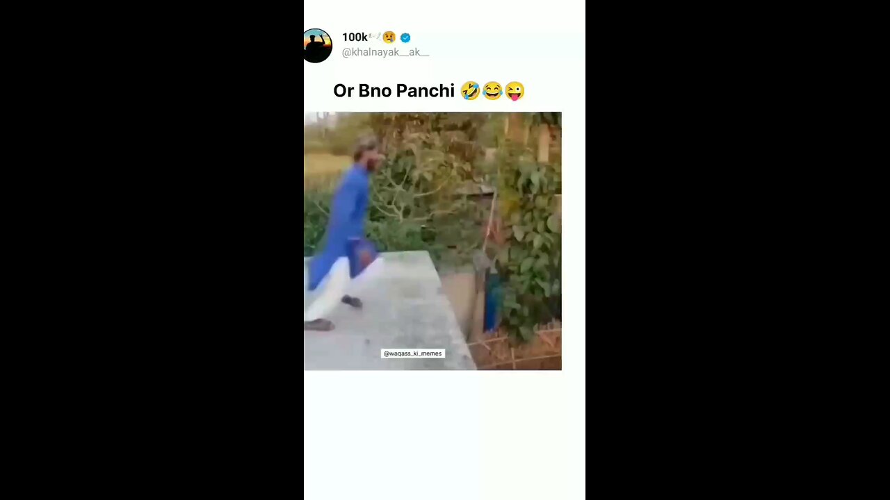 funny videos
