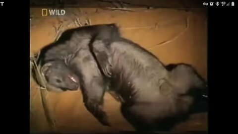 Wut U C Iz Wut U Git