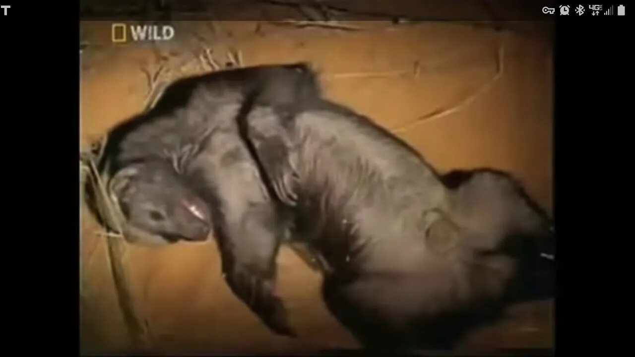 Wut U C Iz Wut U Git