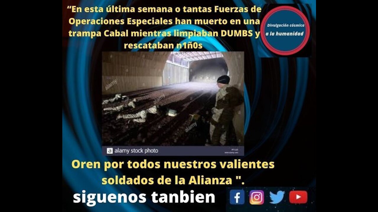 bajas con militares de la alianza