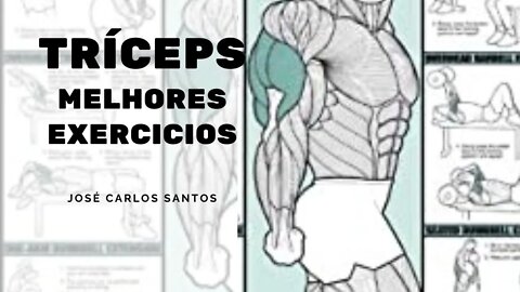 TRÍCEPS - MELHORES EXERCICIOS