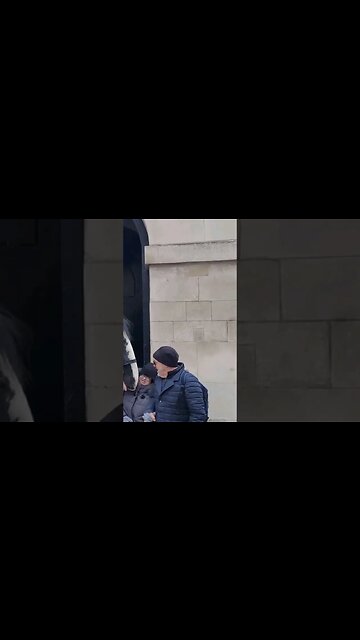 A nudge in the head #horseguardsparade