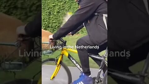 Living In The Netherlands TikTok tempastempastempa