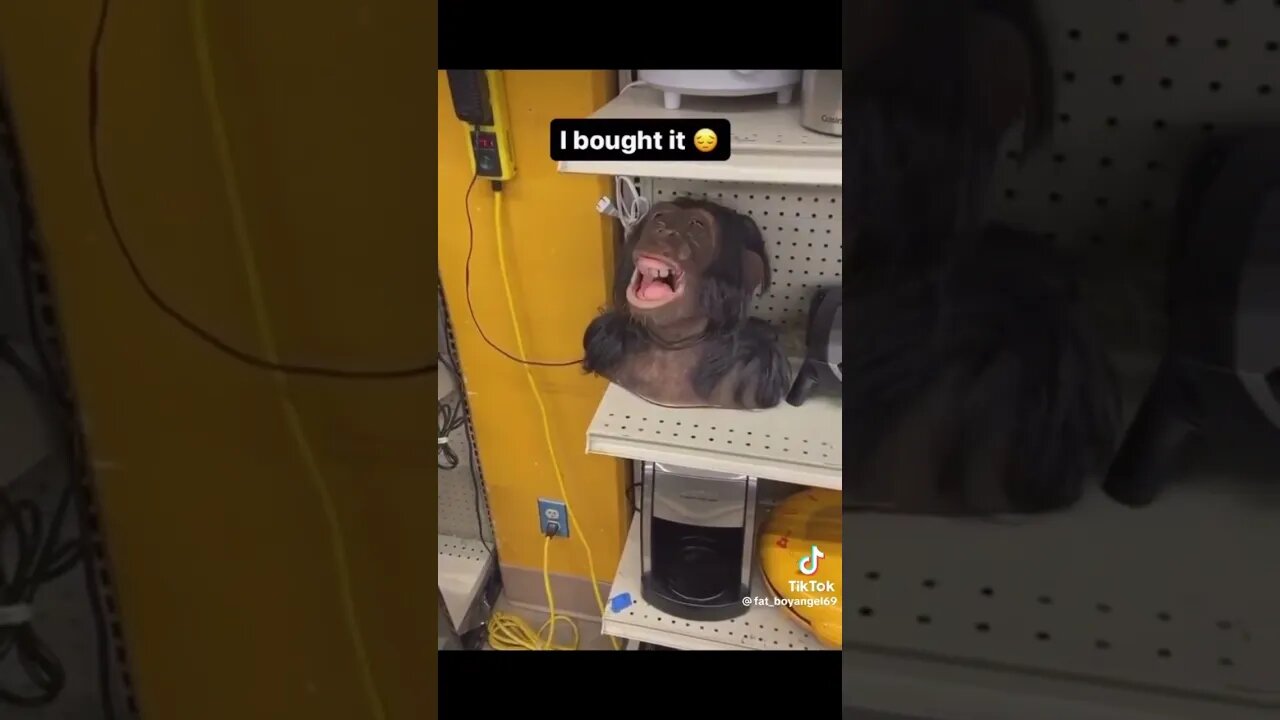 💀💀💀💀😂😂😂
