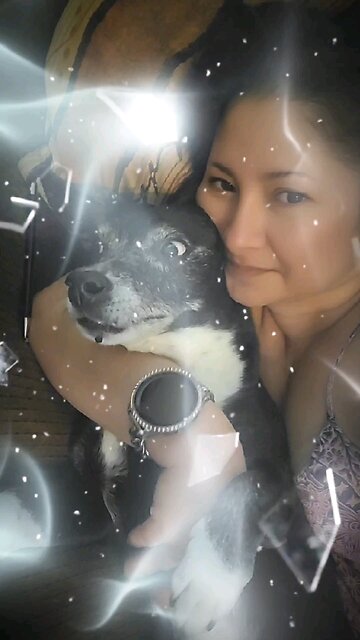 Sofa snuggles and snoozles with my senior sweetpea 🐾❤️ There's no place I'd rather be