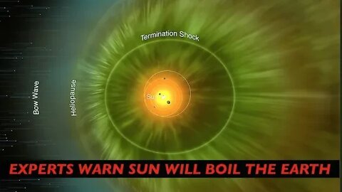 Experts Warn Sun Will Boil the Earth, Rex Bear Goes Crazy After Reading End of World News