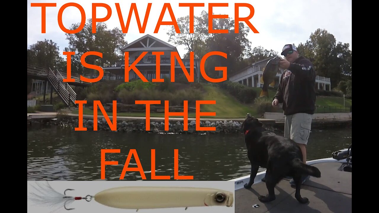 Topwater is king in the fall