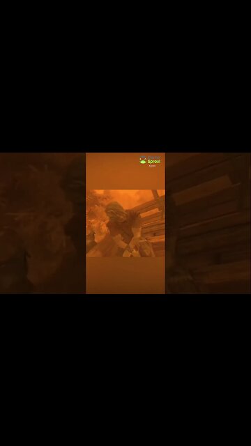 Not what he expected to drive into…