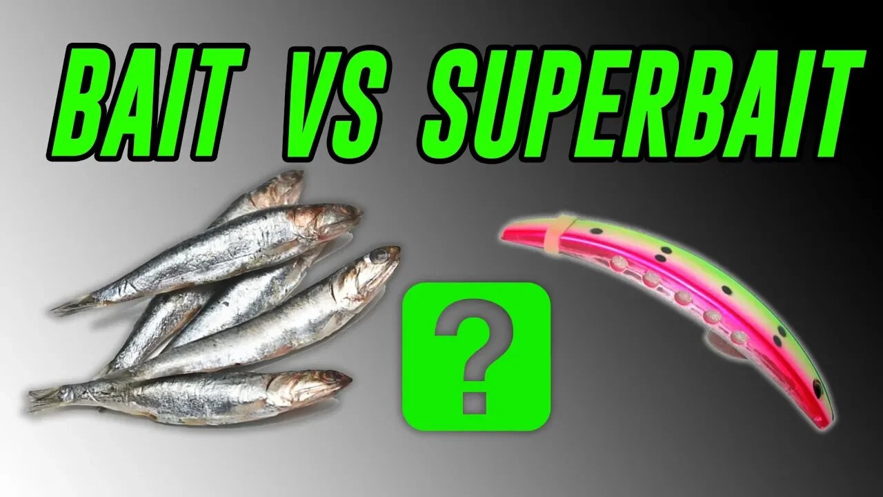 Bait Vs SUPERBAIT, What CATCHES More FISH??! | INSANE Ocean Salmon Fishing | Addicted Life Ep. #52