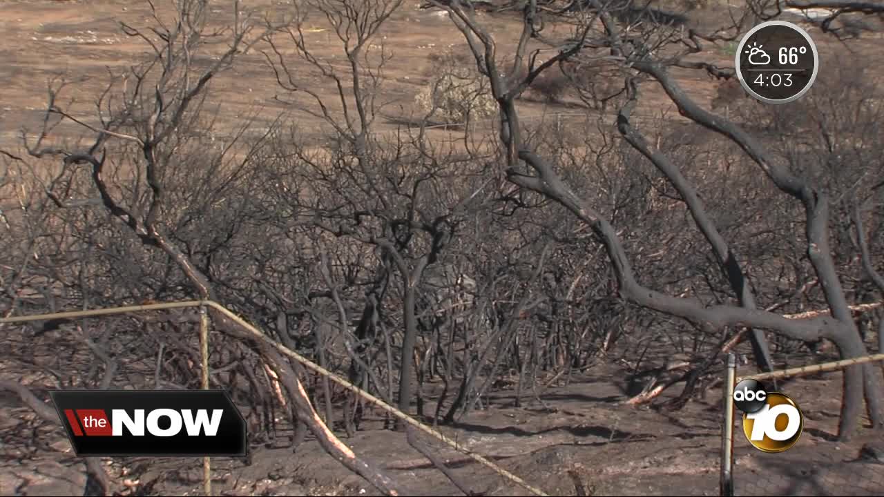 San Diego communities face mudslide threat as rain approaches