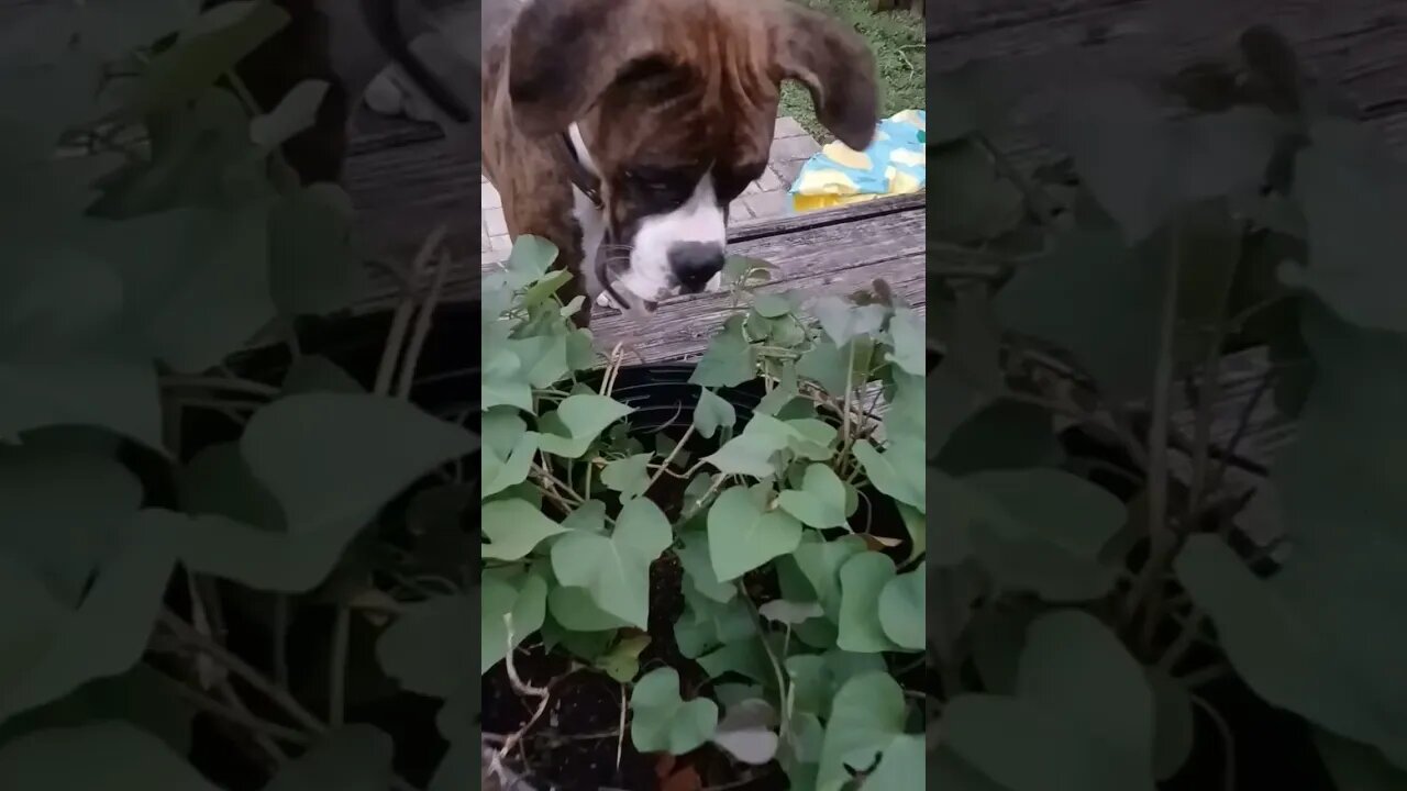 looking for something