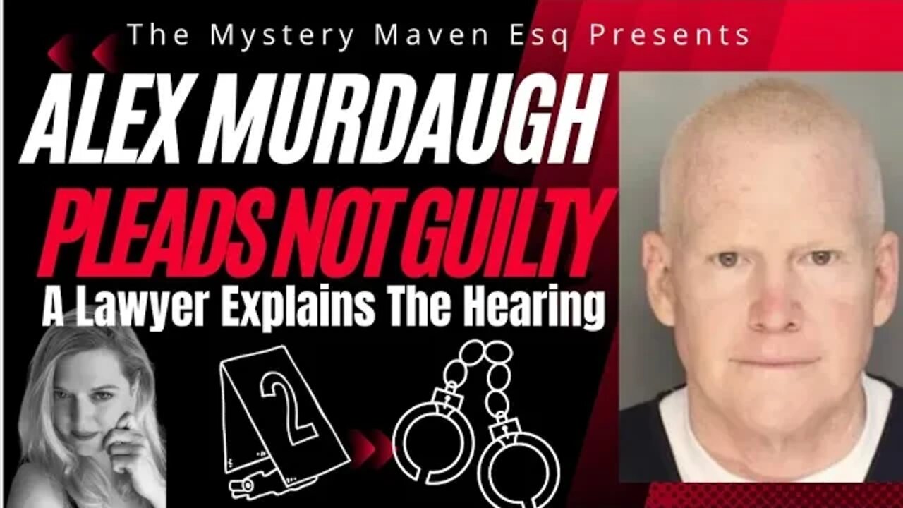 Alex Murdaugh Pleads Not Guilty Watch Hearing with a Lawyer