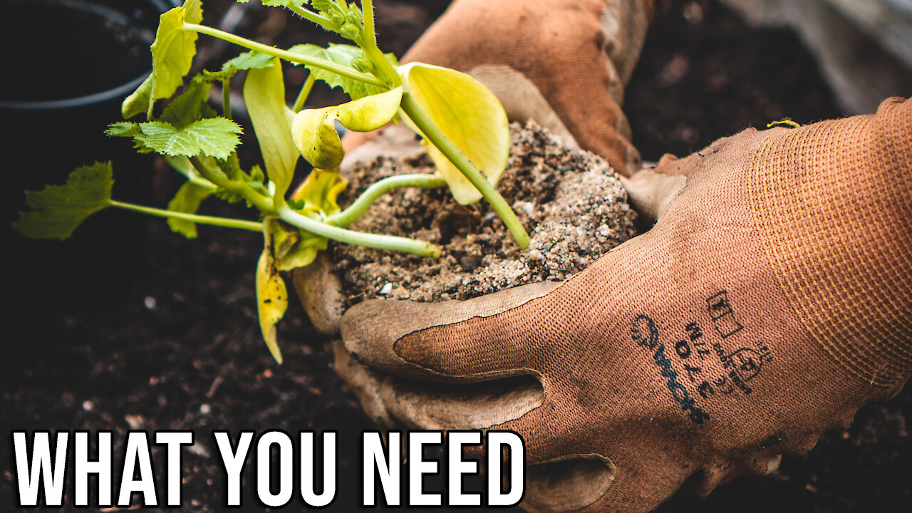 What Skills Do You Need for the Coming Underground Economy?