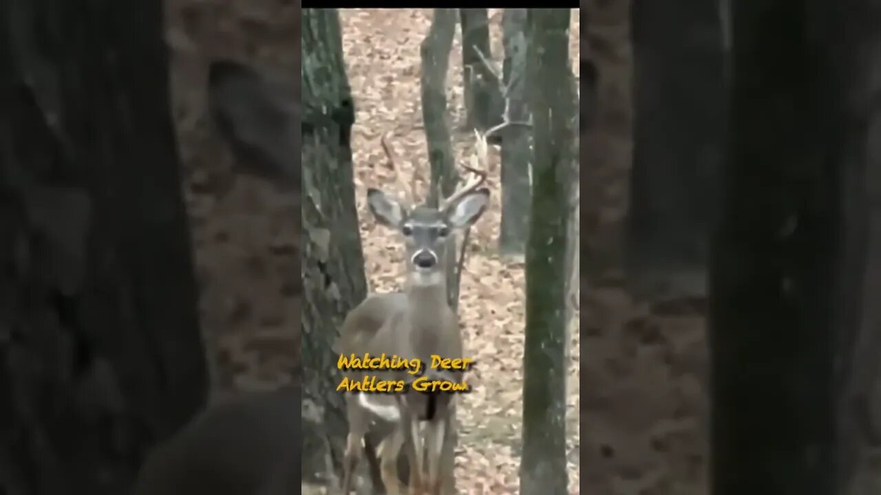 5x3