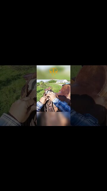 Do You Know What a Hobble is?