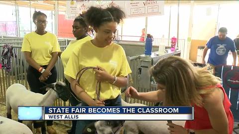 Vincent High School students show sheep at Wisconsin State Fair