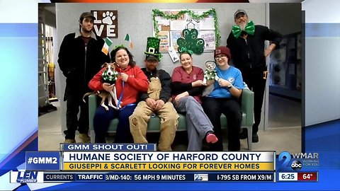 Good morning from the Harford County Humane Society!